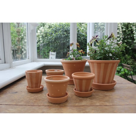 Jane Hogben Pot(S)ドット