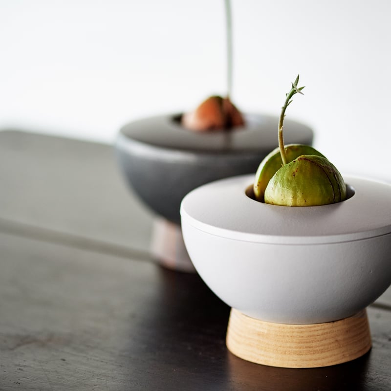 【アボカド】火鉢 Avocado Vase アボカドベース / Ilex Studio アイレックススタジオ