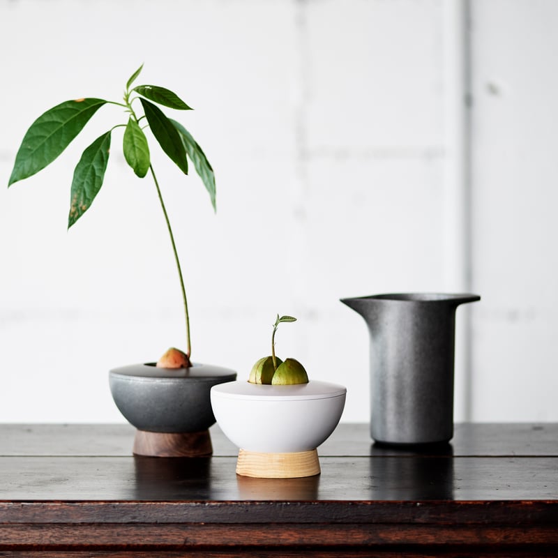AVOCARD POT アボカドポット | PORT