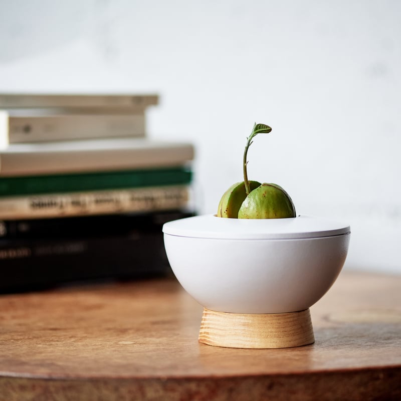 【アボカド】火鉢 Avocado Vase アボカドベース / Ilex Studio アイレックススタジオ