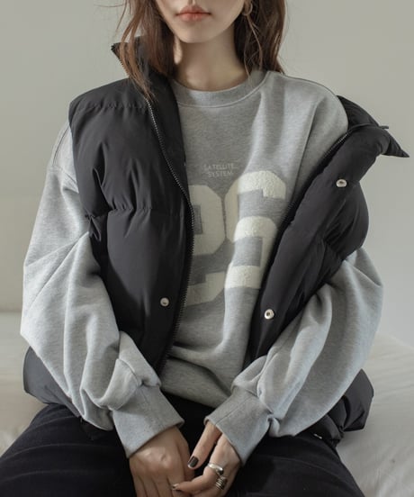 towel patch logo sweat pullover /2color　FL3199
