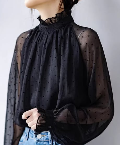 lantern sleeve dot sheer blouse　FL2610