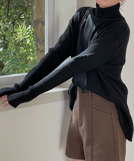 turtleneck ribbed knit /4color　FL3061