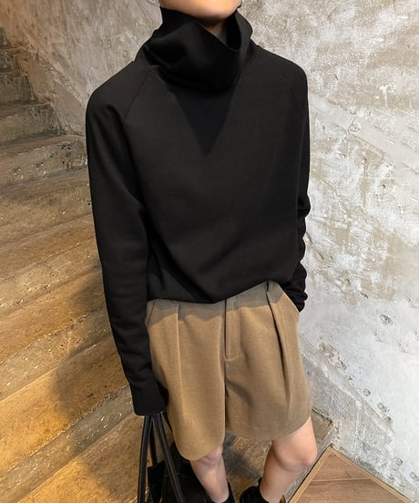 sleeve slit turtleneck tops /2color　FL2882
