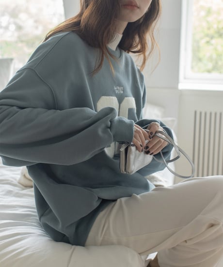 towel patch logo sweat pullover /2color　FL3199