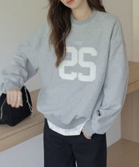 towel patch logo sweat pullover /2color　FL3199