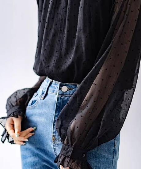 lantern sleeve dot sheer blouse　FL2610