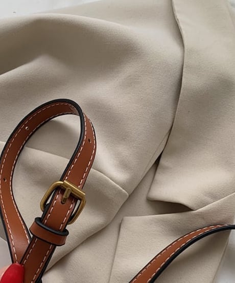small shoulder bag　FL2279