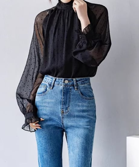 lantern sleeve dot sheer blouse　FL2610
