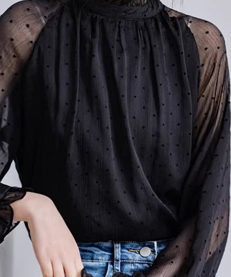 lantern sleeve dot sheer blouse　FL2610
