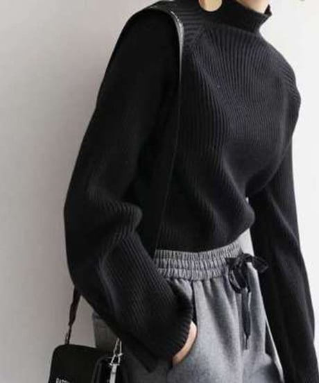 button sleeve high neck knit　FL2666