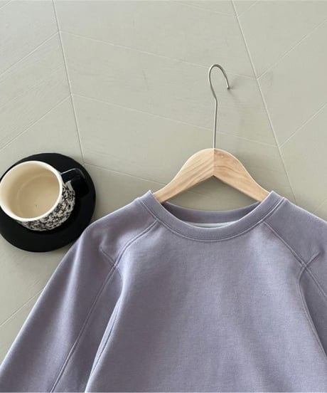 round neck casual pullover /2color　FL2972