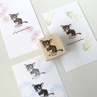 【A39】チワワのスタンプ(横向き)