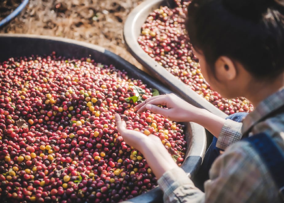 669382441d175c07089c8bd6