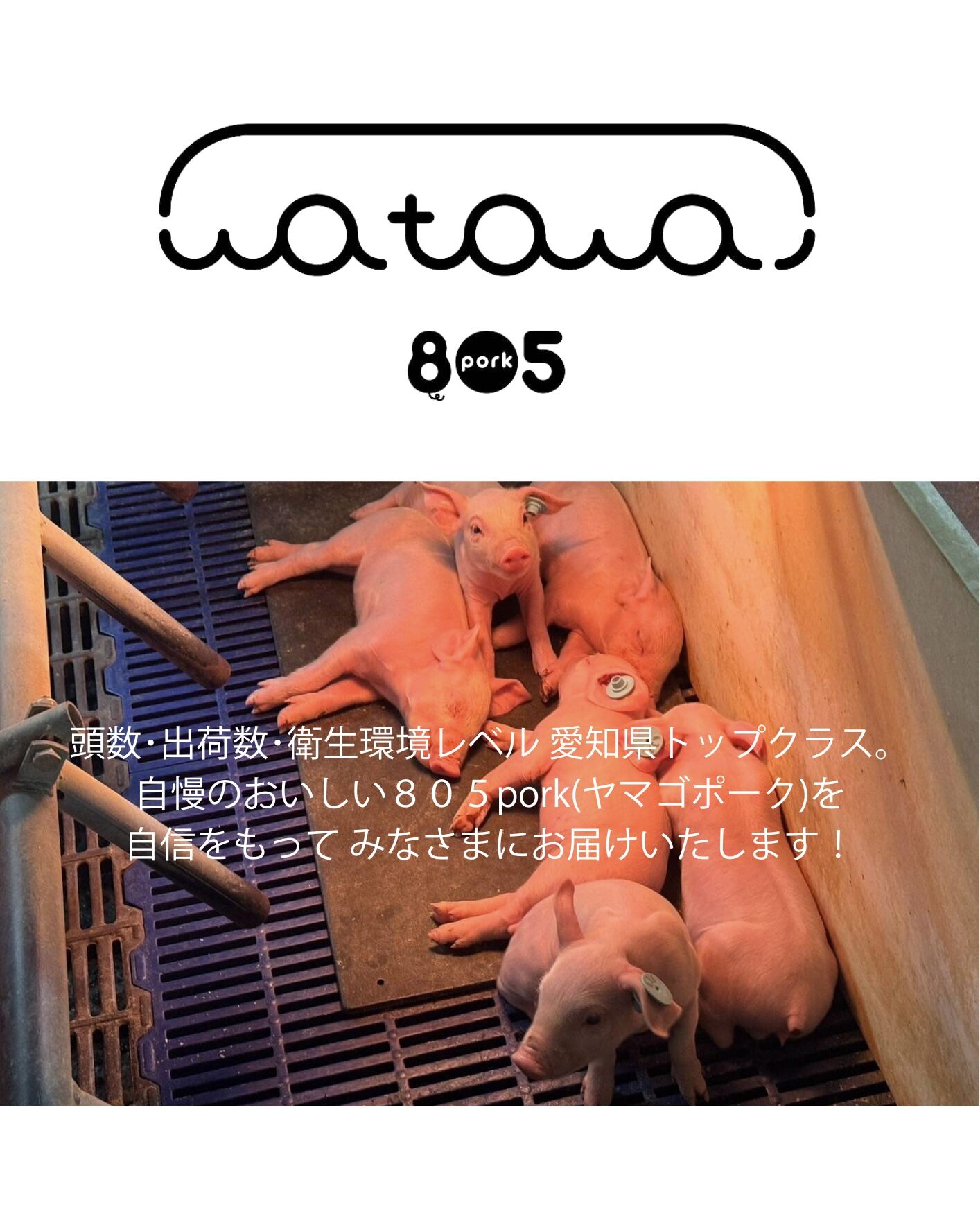 ８０５pork オンラインショップ