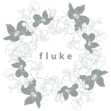 fluke