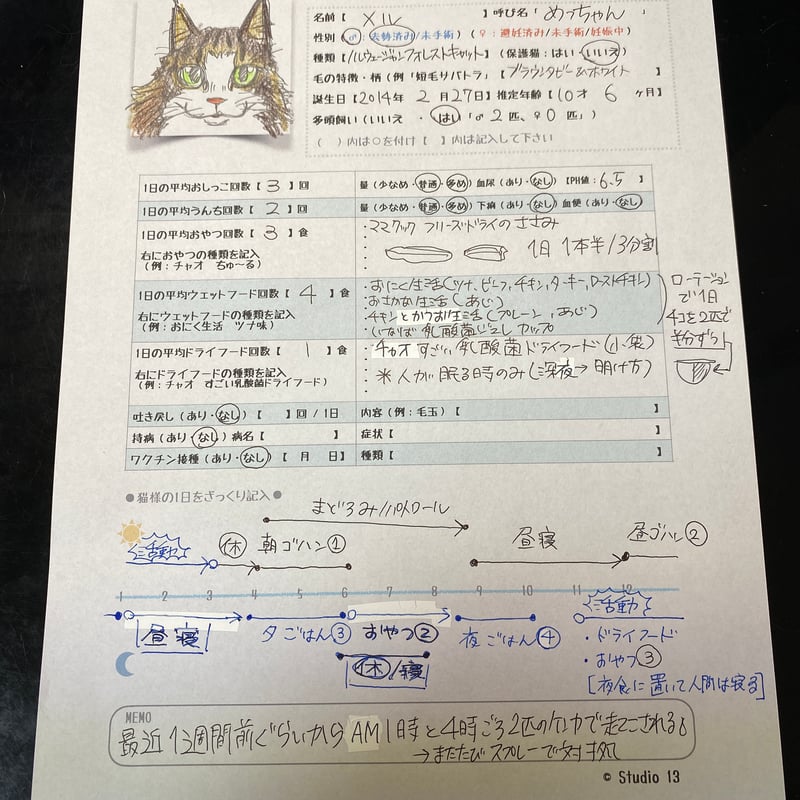 猫様プロフィール】〜猫様の取説シート〜 | Studio13