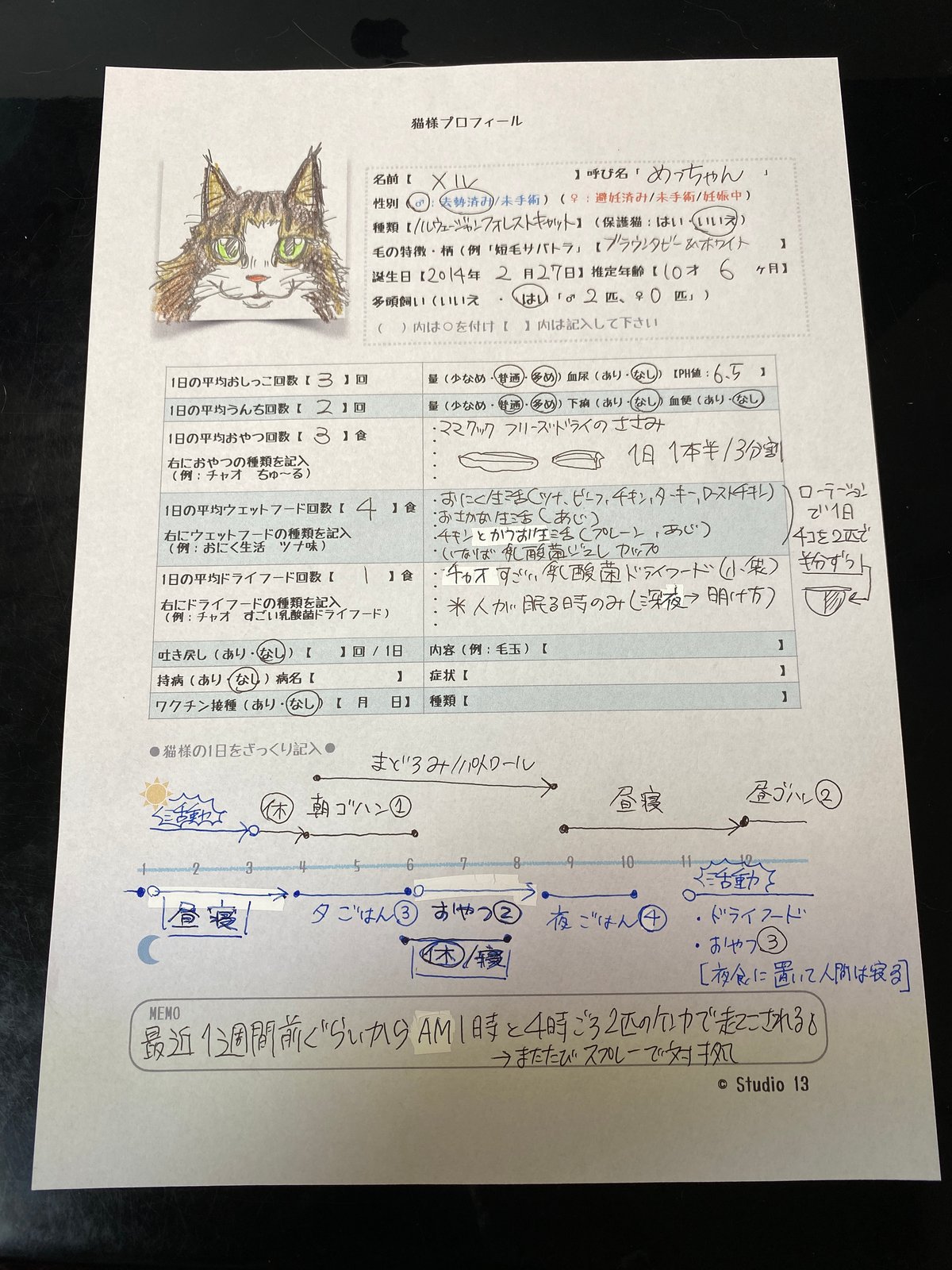 ねこまる プロフ/商品説明欄必読 fit=scale-down,w=1200
