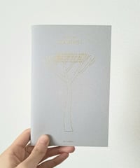 DRAWINGS