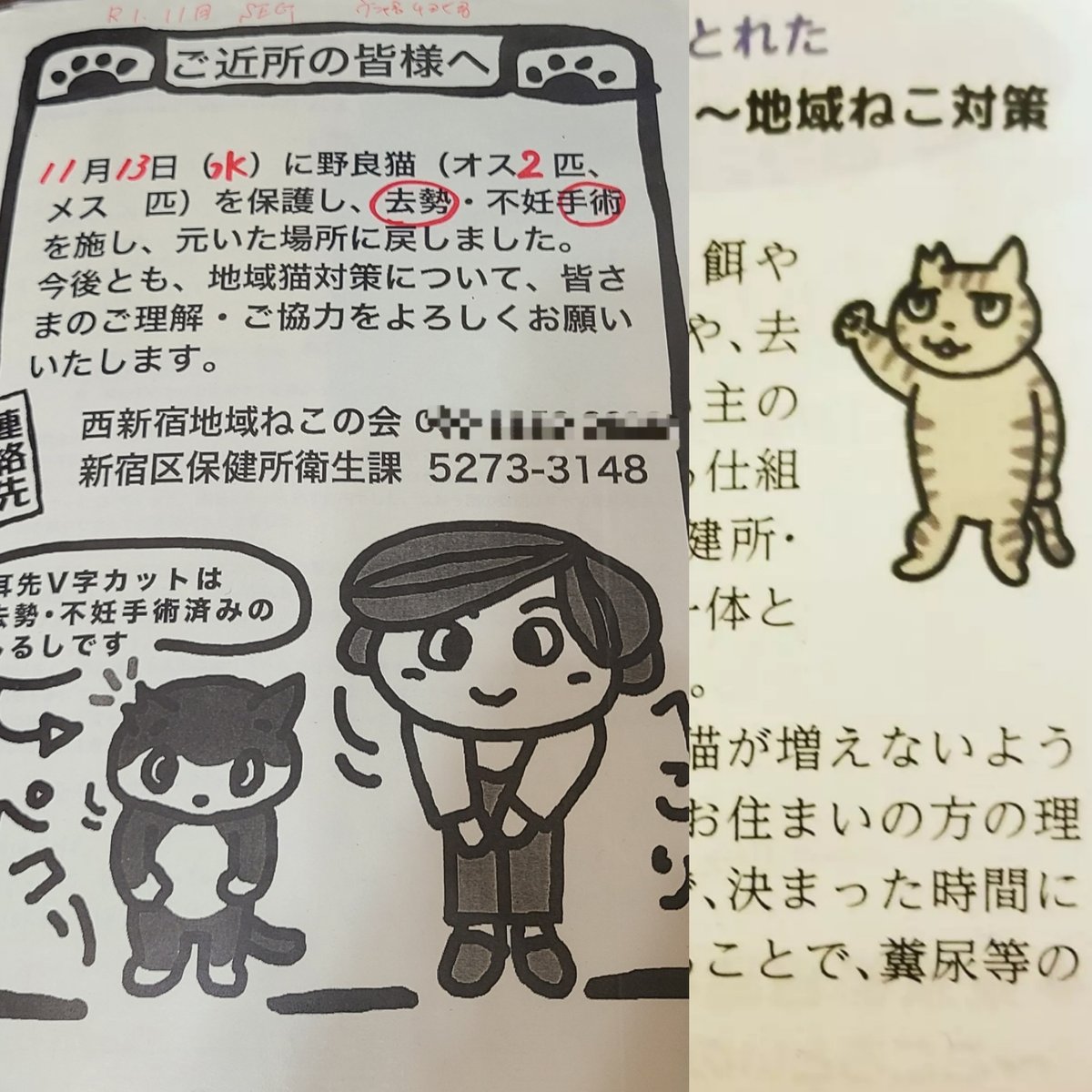 地域ねこたちへのご支援 | 西新宿地域ねこの会