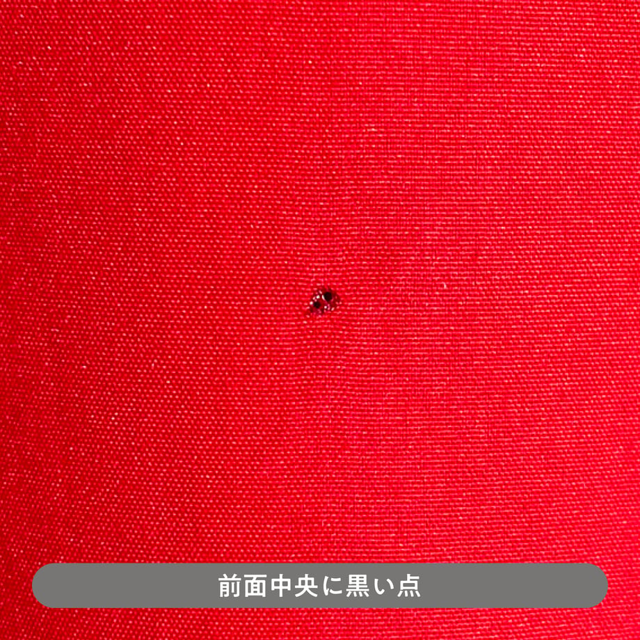 673d6958c5bd3003c987ad8a