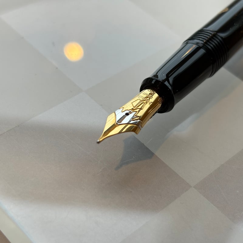 Namiki ナミキ 蒔絵万年筆 銀杏 2022年限定 M | PEN'S ALLEY Tak