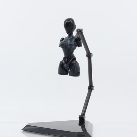 アニマサーキット ヴィオ・ザ・ラビット SP 1/12 プラモデル【東莞市卓匠文化発展有限公司】