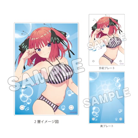 アクリルプレート | STORES