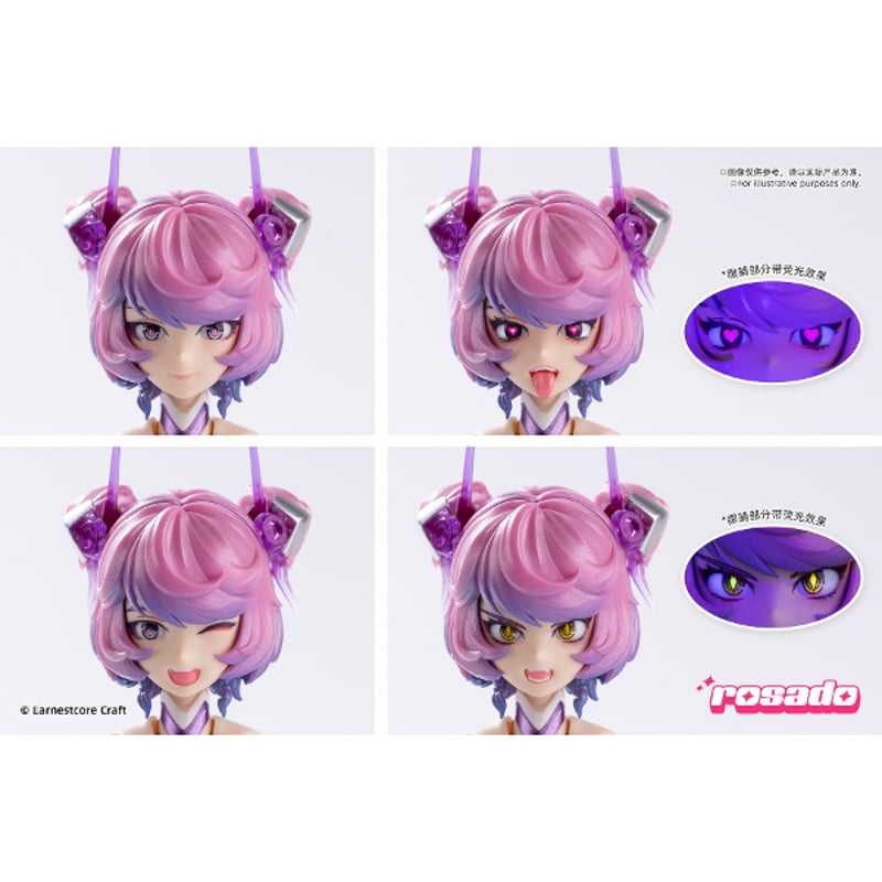 rosado Project RS-02 星花・ブラックアイリス 1/10 完成品