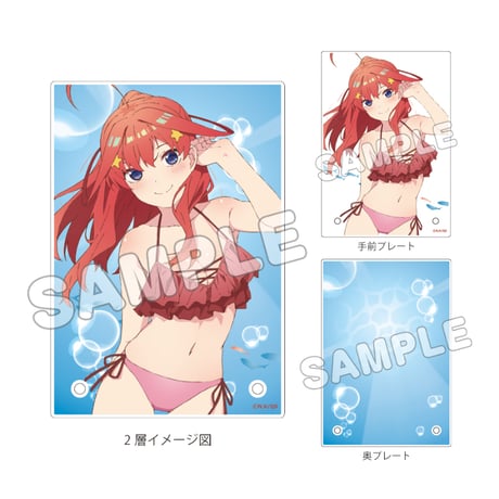 アクリルプレート | STORES