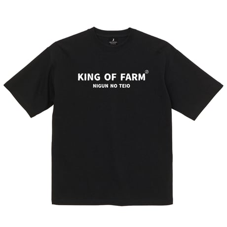 CATEGORY Tシャツ | IMANAMI Class