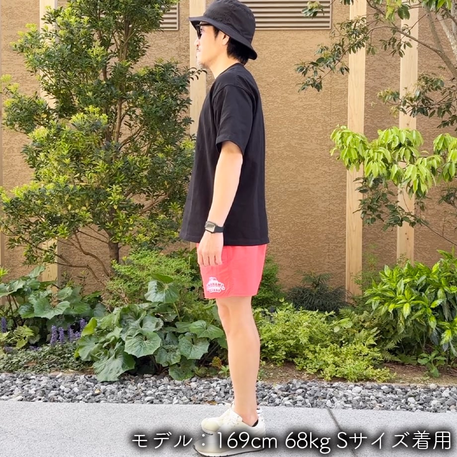67ff96df56e39c969d9d787a
