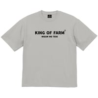 ビッグシルエットTシャツ＜KING OF FARM（二軍の帝王）＞グレー×黒文字