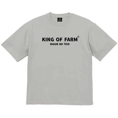 CATEGORY Tシャツ | IMANAMI Class