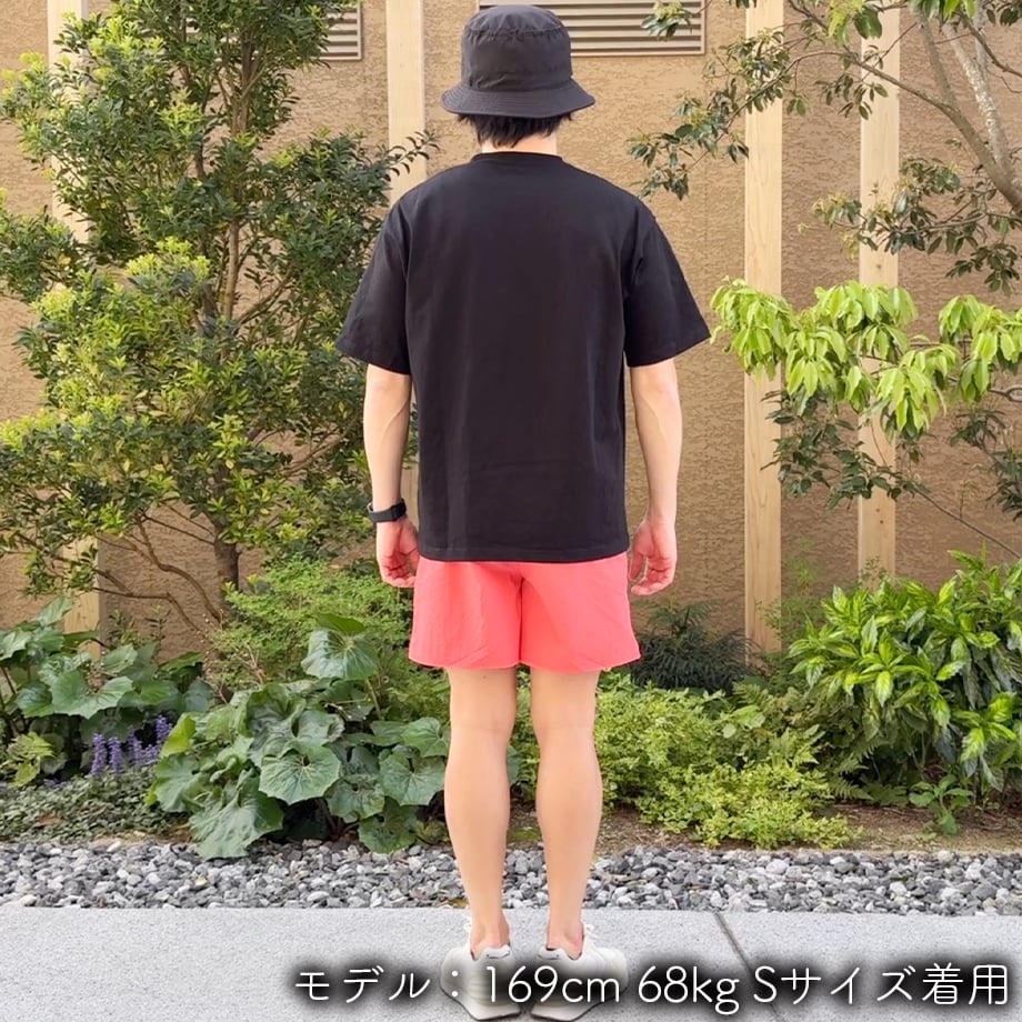 67ff96df56e39c969d9d787a