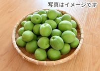 品種：白加賀 / 熟度：青梅 / サイズ：M〜L / 内容量：5kg | 梅農園