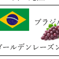 ゴールデンレーズン（中煎り　ブラジル産）