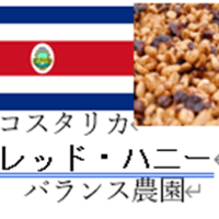 レッド・ハニー（深煎り　コスタリカ産）（100g豆or粉）【店頭受取り】