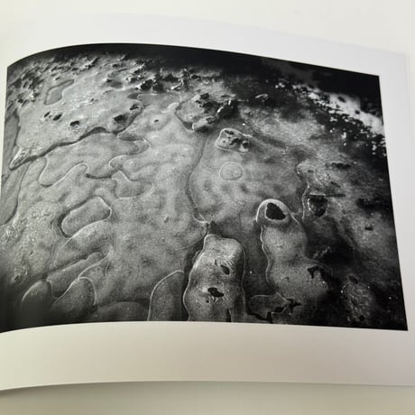 『ASHIO 2008/2009』 - 久保田智樹