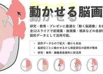 動かせる脳画像（パワポ素材）