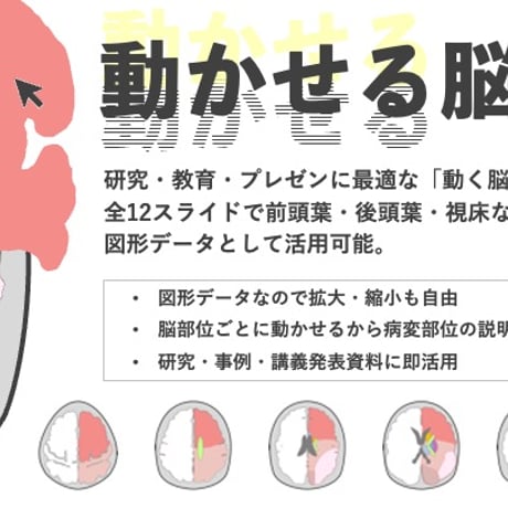動かせる脳画像（パワポ素材）