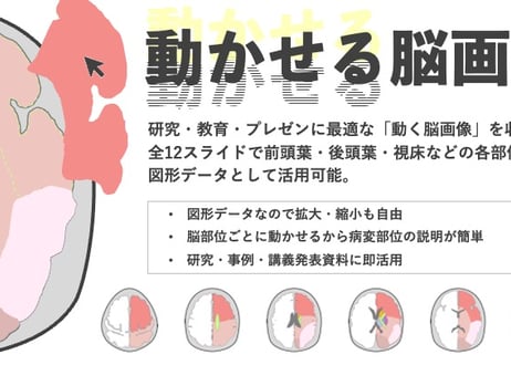 動かせる脳画像（パワポ素材）