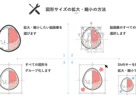 動かせる脳画像（パワポ素材）