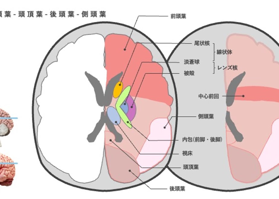 67a6ef5e286e6314a00bc608