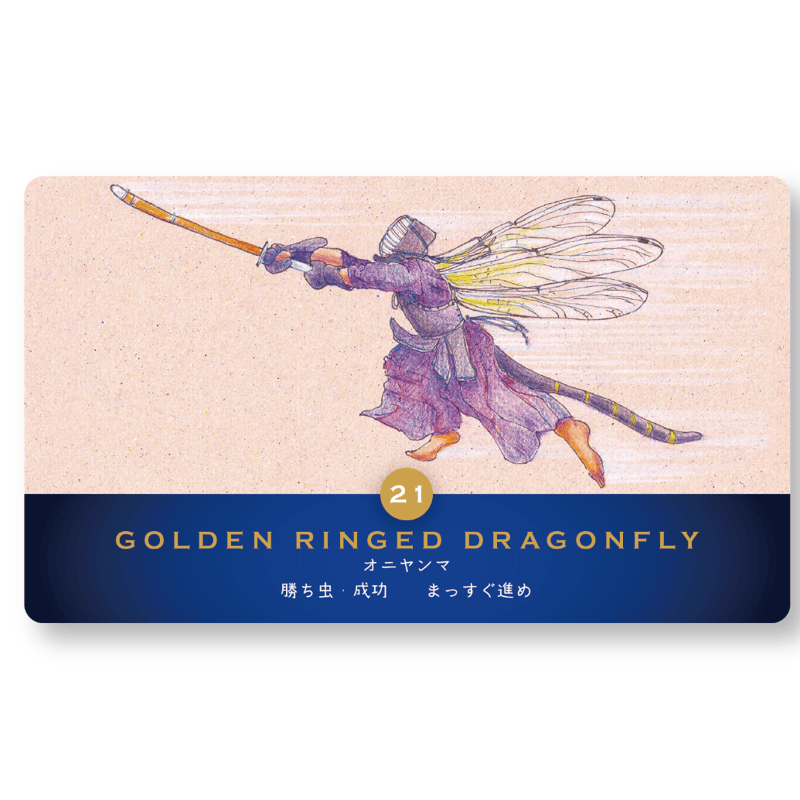 オラクルカード】Messages from little friends （ケースなし） |