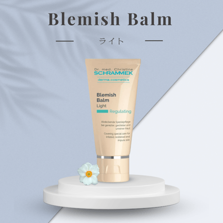 シュラメック 保湿クリーム２点セット 楽天市場】【公式】 シュラメック スペシャルケアクリーム 50ml