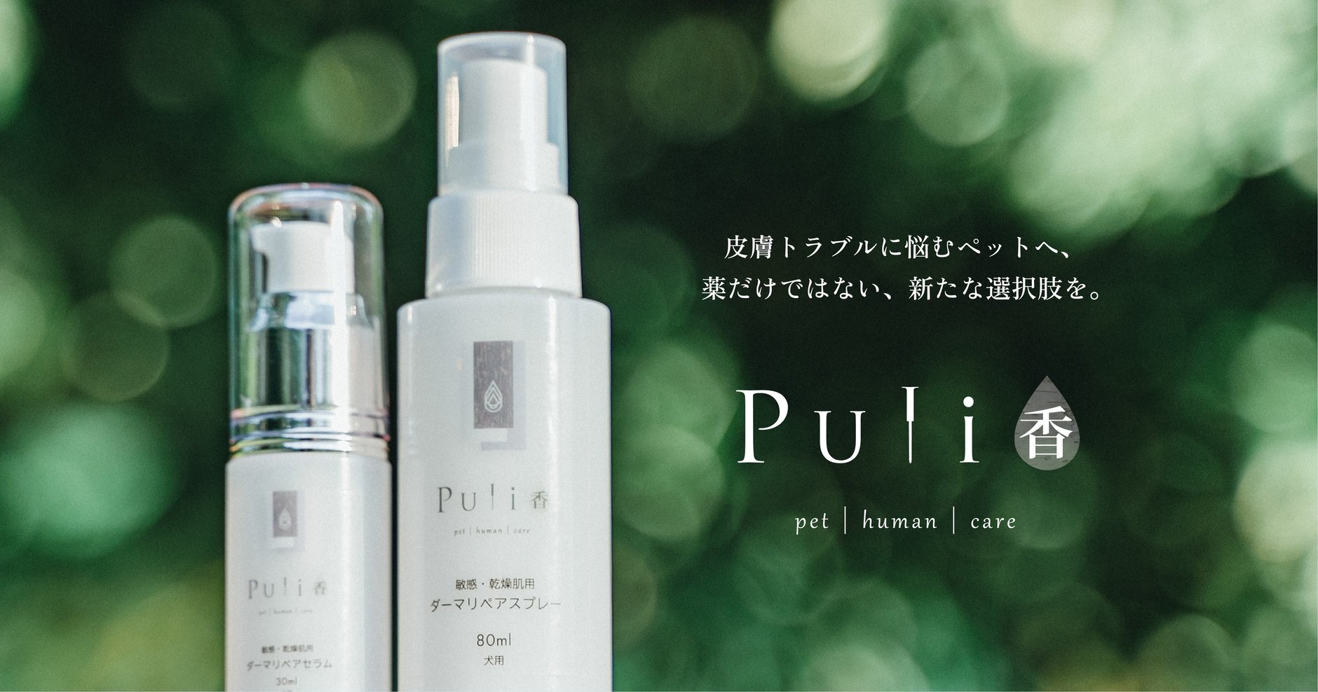 Puli香