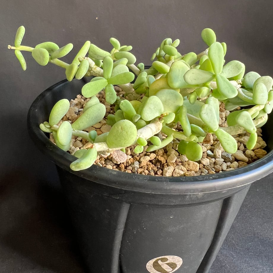 687f2ff37570b17463e6ef70