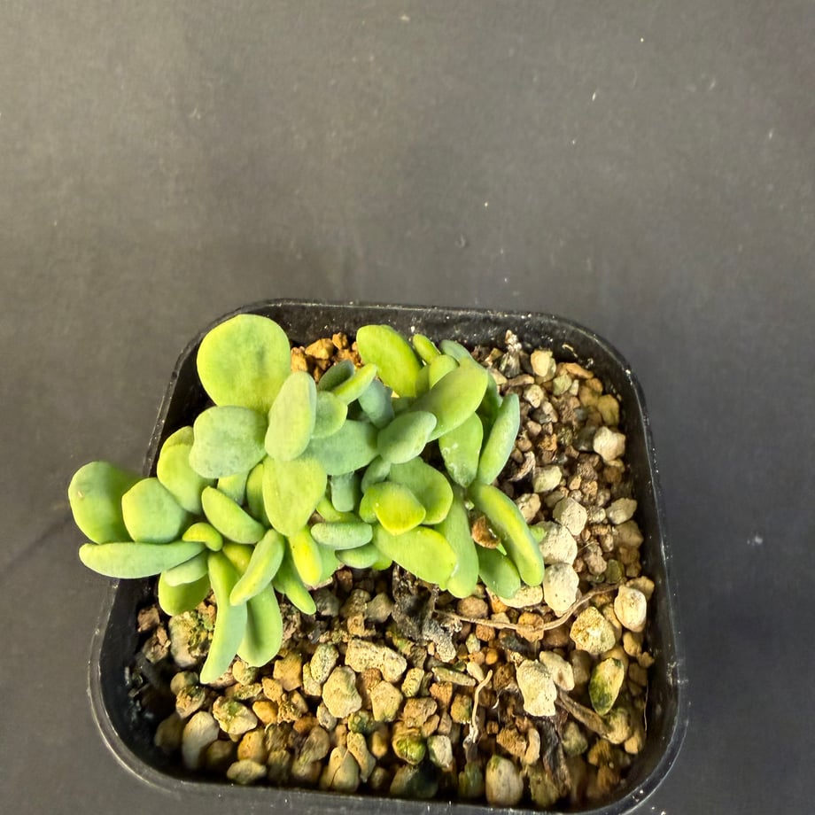 6a17c508be9f7e59daaafe1e