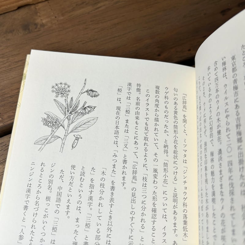 古本｜漢字の植物苑 花の名前をたずねてみれば | 緑蔭堂
